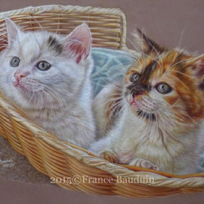 Basket View - 61 hours
Brown Pastelmat
19.5" x 13.5"
From Laila's 6th litter - 2015